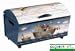 Noah's Ark Chest