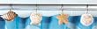 Sand Dollar Shower Curtain Hooks Bathroom SEA Shell