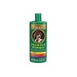 Four Paws Magic Coat Flea & Tick Shampoo with Organic Pyrethrins for Dogs & Cats (12 oz.)