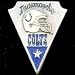 Indianapolis Colts Pin - NFL Football Fan Shop Sports Team Merchandise