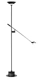 Torchiere Lamps