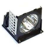 eReplacements Replacement Lamp