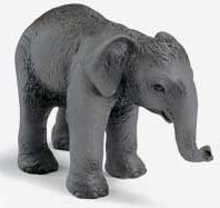 Schleich Indian Elephant Calf