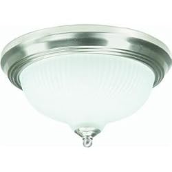 Westinghouse Light D 69833 2-Pack Ceiling Fixture