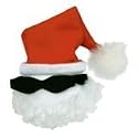 Cool Santa Claus Antenna Ball Topper