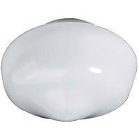 Sea Gull Lighting 1679-34 Ceiling Fan Light Glass Kit, Opal White Glass