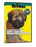 SOFT COATED WHEATEN TERRIER DVD + Dog & Puppy Training Bonus!