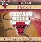 Chicago Bulls 2008 Desk Calendar