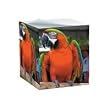 Custom Photo Note Cube - Customize Your Note Paper With Your Favorite Photo