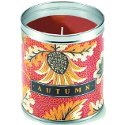 Aunt Sadie's Autumn Leaves Candle