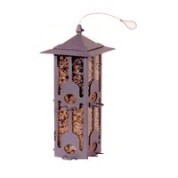 Birdscapes 350 Squirrel-Be-Gone I Feeder, 6 lb capacity