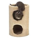 2 Story Condo Blue