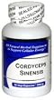 Cordyceps (100 Capsules) - Concentrated Herbal Extract - Dietary Supplement
