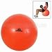Exercise Ball 55cm 21.6