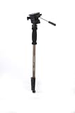 Cobra CT-190 Monopod (Closed 62cm, Ext 168cm)