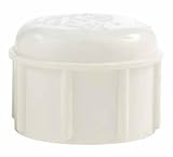 CHARLOTTE PIPE & FOUNDRY PVC 02117 1000 PVC CAP