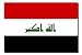 Iraq National Country Flag - 3 foot by 5 foot Polyester (New)