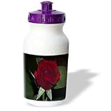 Rebecca Anne Grant Photography Nature Flowers - Red Rose Green Background - Water Bottles