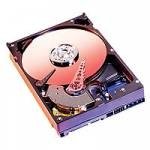 Western Digital WD2500JS 250GB SATA/300 7200RPM 8MB Hard Drive