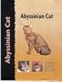 Abyssinian Cat (Pet Love S.)