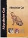 Abyssinian Cat (Pet Love)
