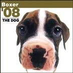 Boxer Wall (ARTLIST) 2008