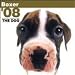   - Boxer Wall (ARTLIST) 2008