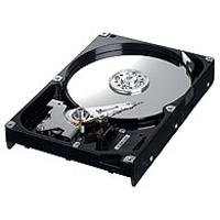 Samsung HD250HJ 250GB Internal SATA 8MB 7200RPM Hard Drive