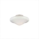 21 9wQKOEbL. SL160  Opal Cone Globe Accessory Glass Shade