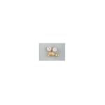 250-540 Victor Style Medium Duty Oxygen Regulator CGA-540