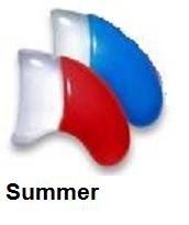 pets smart grooming:Soft Claws for Cats, Size Medium, Color Summer (Blue & Red)