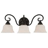 Bathroom Fixtures Sea Gull Lighting 40019