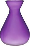 Purple Frosted Glass Vase (bulb design)