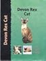 Devon Rex Cat (Pet Love S.)