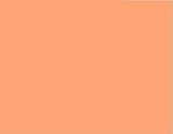 from softouch PAIR OF PILLOW CASES SET 65CMX65CM-APRICOT