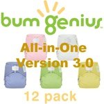 bumGenius All in One Diapers 12 Pack