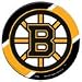Boston Bruins Acrylic Magnet