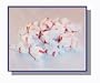 Peppermint Salt Water Taffy