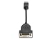 HEWLETT PACKARD DISPLAYPORT TO DVI-D ADAPTER Latching Displayport Connector On One End