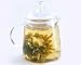 Glass Teapot Urban