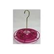 Little Fancy Hummingbird Feeder, Fuchsia