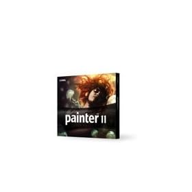 PAINTER 11 LICENSE MEDIA PACKDE/FR/IT IN