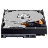 WD AV-GP WD5000AVDS - Hard drive - 500 GB - internal - 3.5 - SATA-300 - buffer: 32 MB