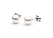 AAA Quality Round 5.5-6mm Akoya SaltWater cultured White Pearl Earrings with 18K White Gold Mount