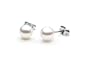 AugustinaJewelry AAA Quality Round 5.5-6mm Akoya SaltWater cultured White Pearl Earrings with 18K White Gold Mount