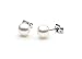 AAA Quality Round 5.5-6mm Akoya SaltWater cultured White Pearl Earrings with 18K White Gold Mount