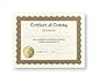 Masterpiece Training Stock Certificate - 6 Sheets