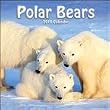 Polar Bears 2010 Wall Calendar