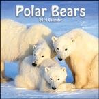 Polar Bears 2010 Wall Calendar