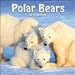 Polar Bears 2010 Wall Calendar